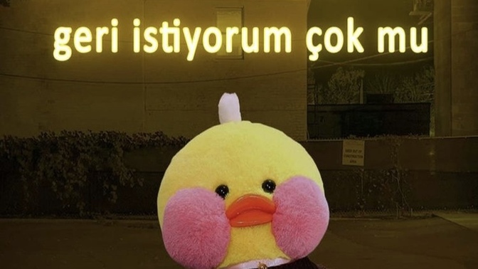 Covid bitince ilk yapacağınız şey nedir?