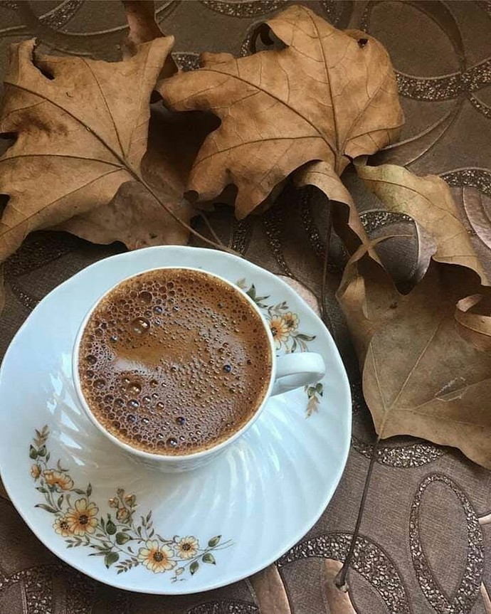 En fazla hangi kahve türünü seviyorsunuz?