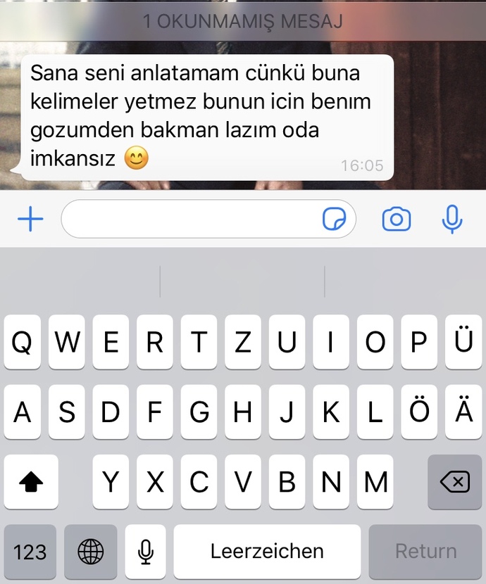 Flörtüm bunu dedi ciddi bi şekilde ne yazmalıyım lütfen bakın?