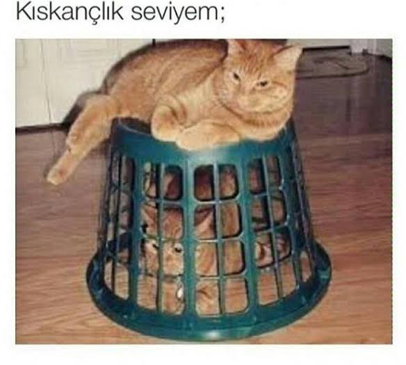 Kıskançlığını bir hayvana benzeteyim mi?