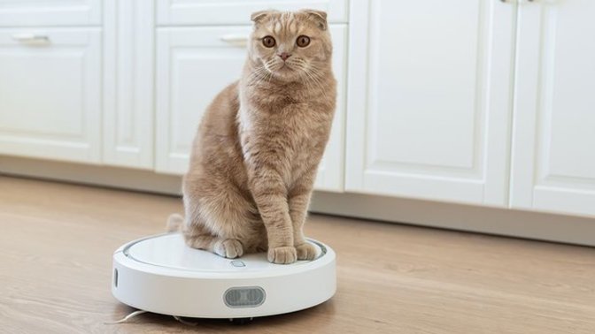 Evinde robot süpürge kullanan var mı, memnun musunuz?