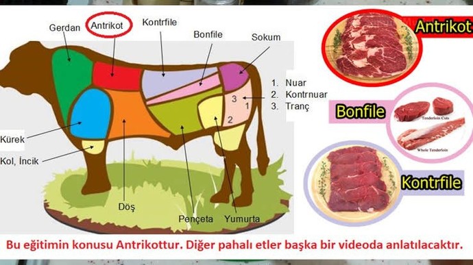 Sizin favori bölgeniz hangisi?
