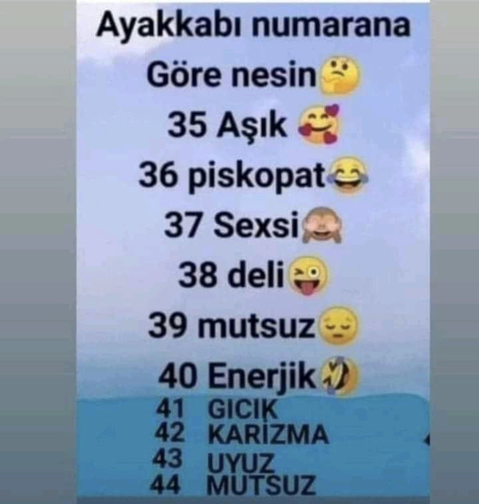 Ayakkabı numarana göre nesin?