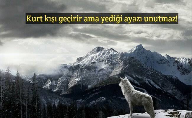 Her Yükselişin Bir İnişi, Her Düşüşün Bir Çıkışı Var mıdır?