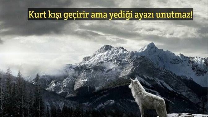 Her Yükselişin Bir İnişi, Her Düşüşün Bir Çıkışı Var mıdır?