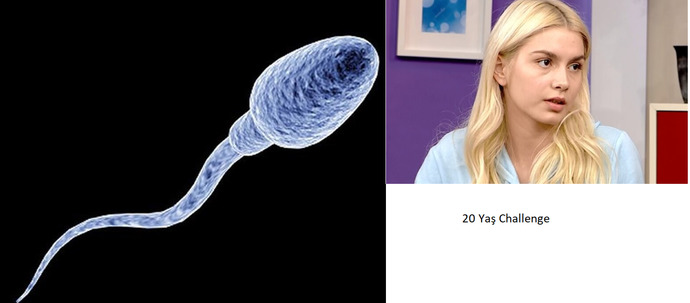 20 yaş challenge akımına katıldınız mı?