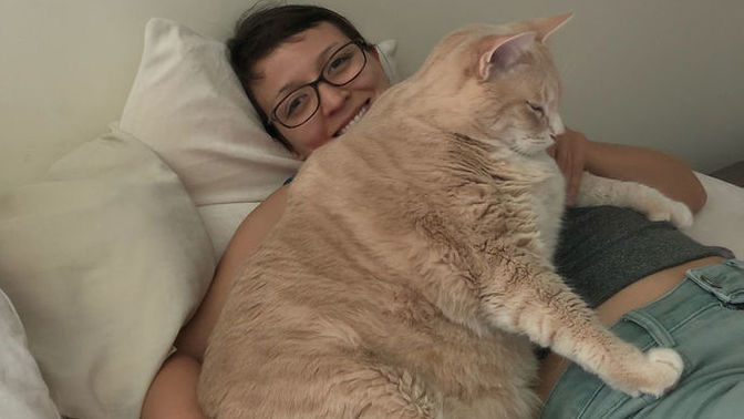 Şişko kediler neden çok tatlı 😻?