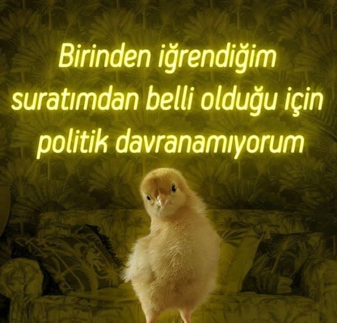 Birini sevmediğiniz zaman belli eder misiniz?
