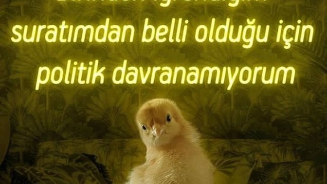 Birini sevmediğiniz zaman belli eder misiniz?