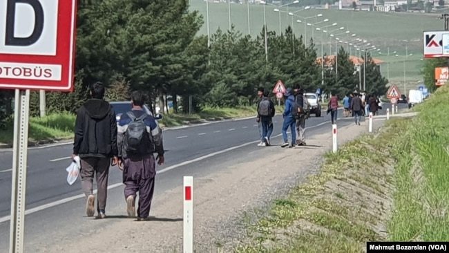 Anayoldan yürüyerek bazen tarla içlerine girip saklanarak Türkiye içinde yol alıyorlar.