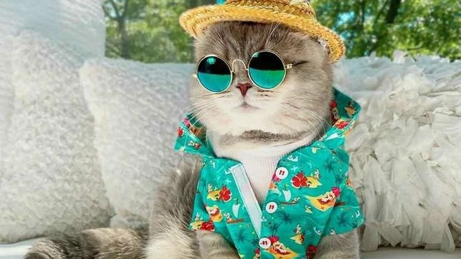 Çiçekli gömlek giyen erkekler çok itici değil mi?