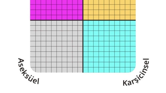 Biseksüelim ve böyle bi test çözdüm?