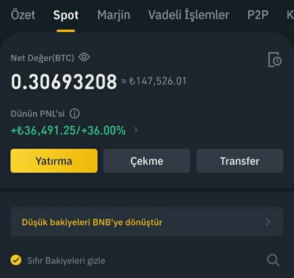 Elon Musk beni tatile gönderiyor. Nereye gitsem?