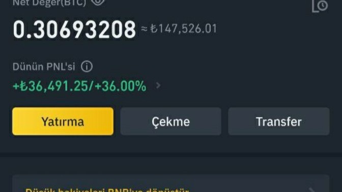 Elon Musk beni tatile gönderiyor. Nereye gitsem?