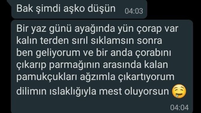 Sevgilim bana böyle şeyler yazıyor ne yapmalıyım?