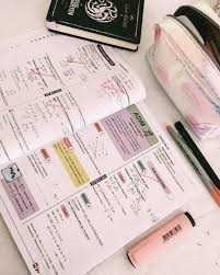 STUDYBUDDY ARANIYOR , var mı?