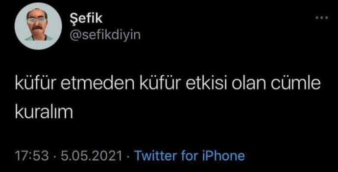 Küfür etmeden küfür etkisi yaratan olan cümle kurun?