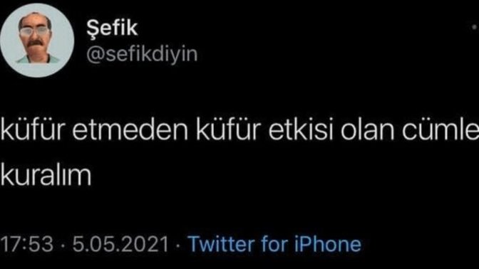 Küfür etmeden küfür etkisi yaratan olan cümle kurun?