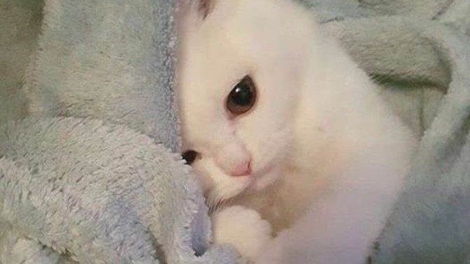 Anlamlı bi cümleye yazın bakem?  ya da  geceye bir cümle bırakın?