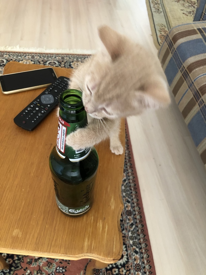 Bu kadar tatlı bir şeyi bulabilir miyim?