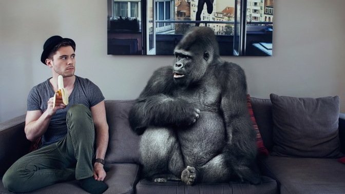 Sevdiğiniz bir atasözü veya deyimi yazar mısınız?