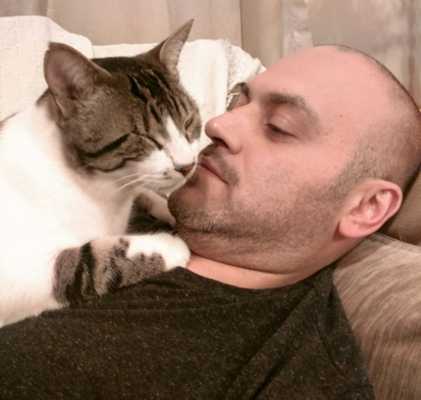 Bir kedi olsaydınız hangi cins olurdunuz?