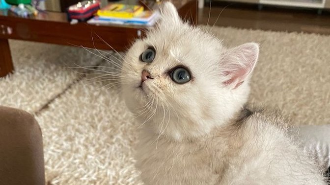 Kızımın ismi hangisi olsun?