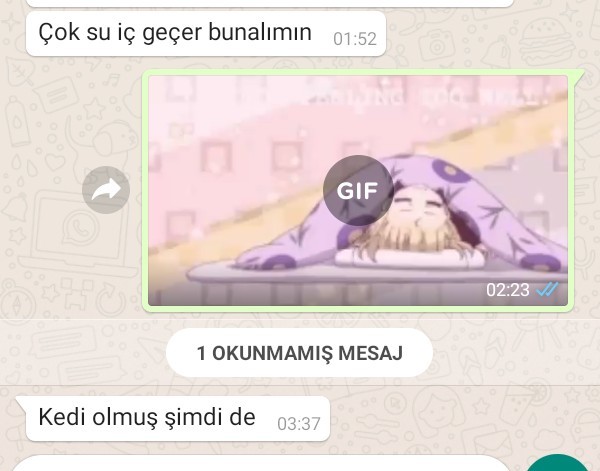 Annem, beni WhatsApptan takip eden bir stalker. Peki senin annenin mesleği ne?
