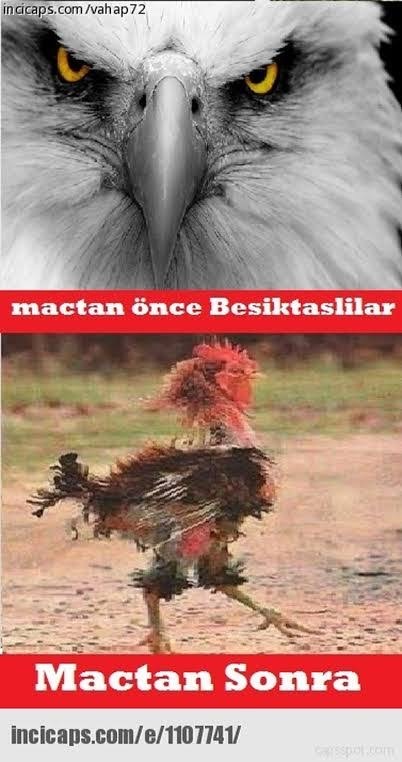 Galatasaray 3-1 Beşiktaş'ı yendi. Maçı nasıl buldunuz?