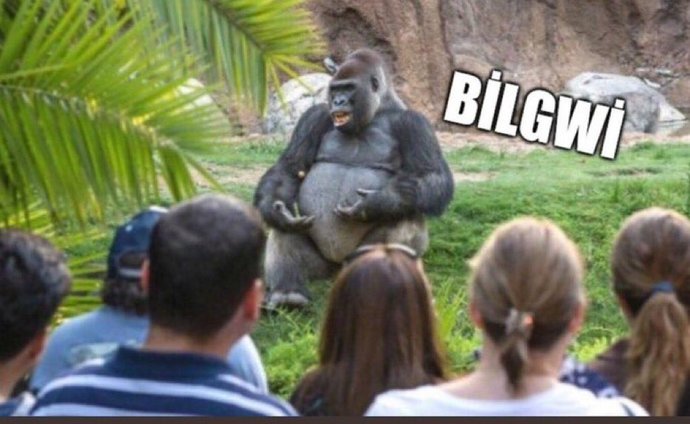 Sırf havalı olmak için Türkçesi olan kelimenin İngilizcesini kullanan aptallar?