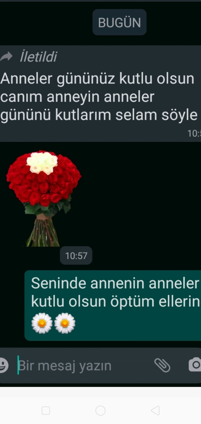 Eski sevgiliniz annenizin anneler gününü kutlasa ne yaparsınız?