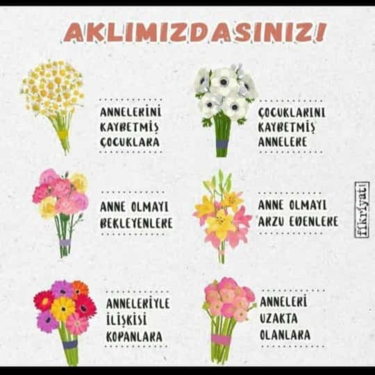Anneler gününüzü kutlayan oldu mu?