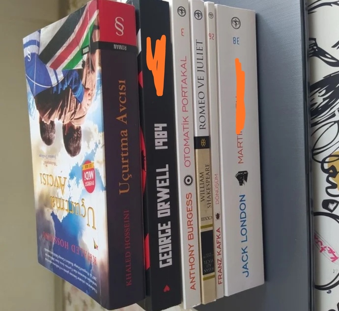 Aylık kaç kitap okuyosunuz?