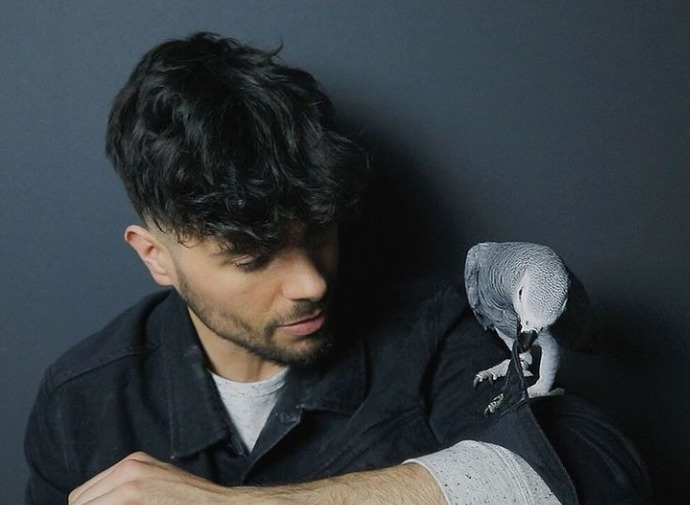 Beslediginiz hayvanlar neler?