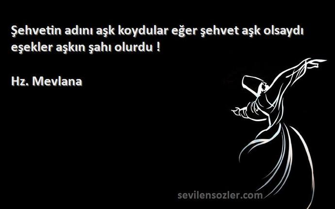 Cinsel açlığını aşk zanedenler hakkında ne düşünüyorsunuz?