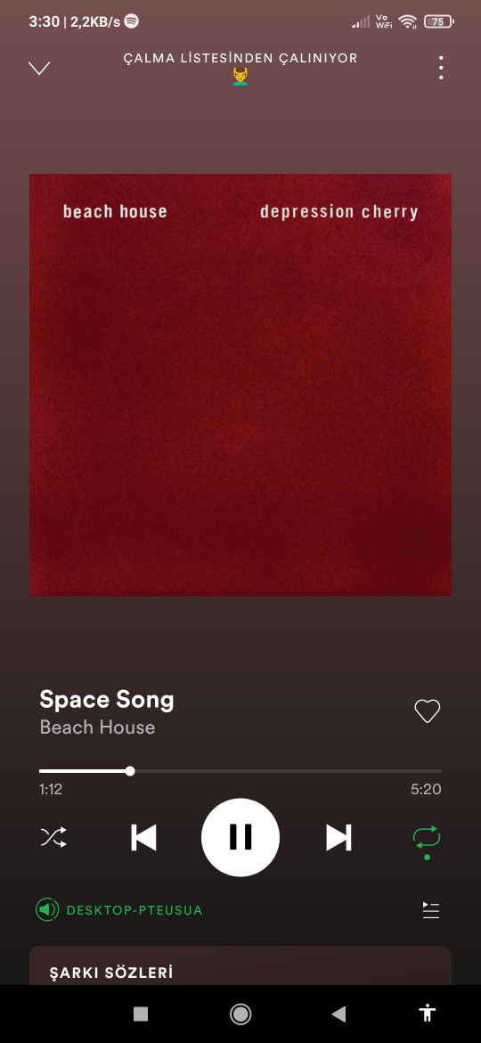 Müzik listenizden bir şarkı paylaşır mısınız?