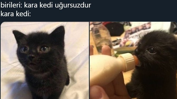 Kara kedi saçmalığına inanır mısın?