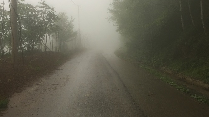 Yağmurlu sisli puslu havalarda yürümeyi seviyor musunuz?