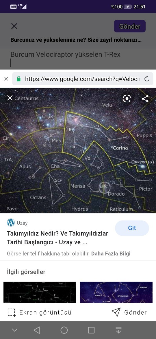 Burcunuz ve yükseleniniz ne? Size zayıf noktanızı söylememi ister misiniz?