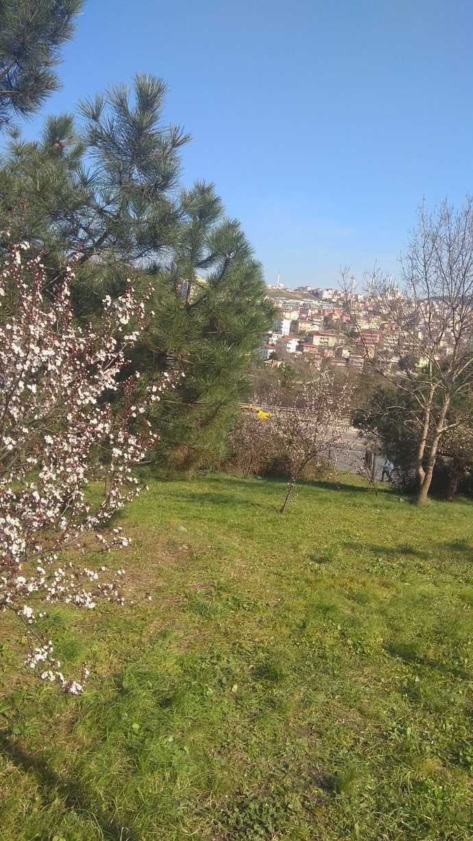 Ölen kişiler neden tabutta?