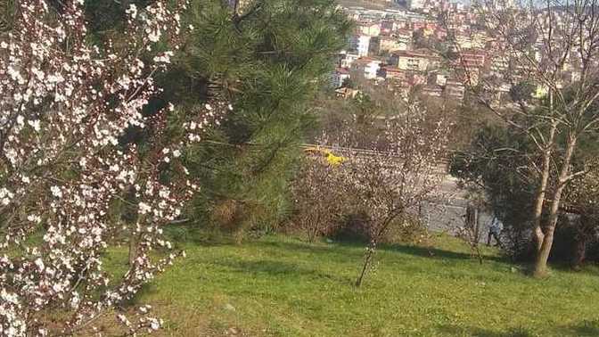 Ölen kişiler neden tabutta?