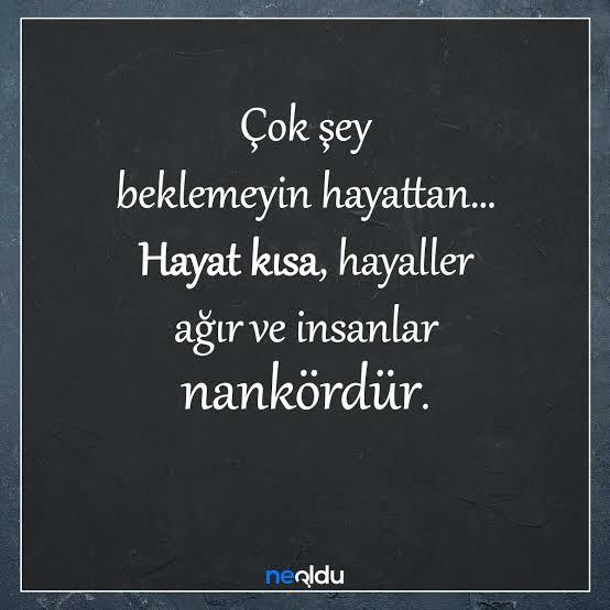 Aksini iddea eden insan değil, melektir.. 😀 😂