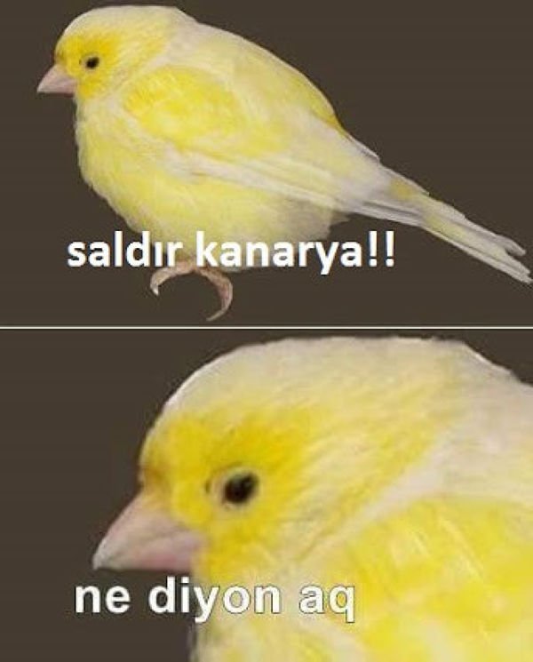 :D