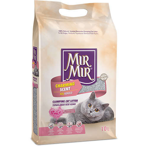 kedi kumu
