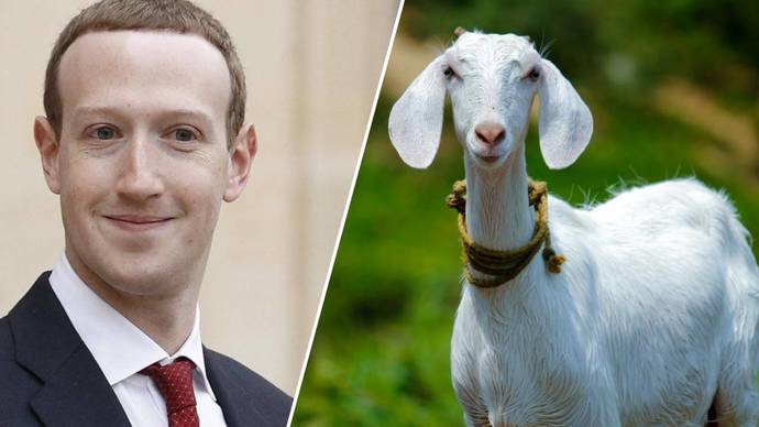 Mark Zuckerberg keçi paylaşımı ile gündemde. Ne düşünüyorsunuz?
