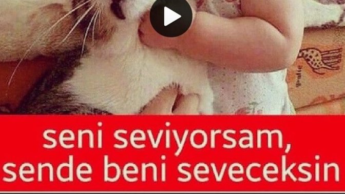 Seni seviyorum sende beni seveceksin. Dediginiz birisi oldumu?