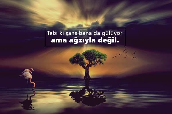 Şans yüzüne güler mi?