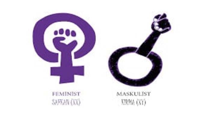 Maskülist misiniz , feminist misiniz?