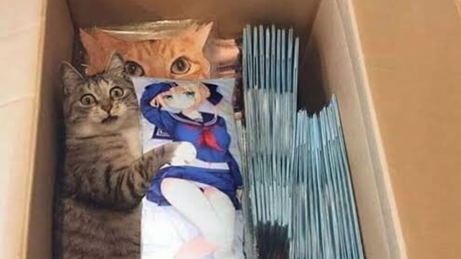 Hiç birini uygunsuz hâlde bastınız mı? Ya da basıldınız mı?