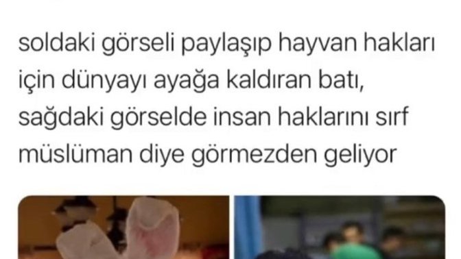 Neden insanlar bu kadar hayvan düşmanı?